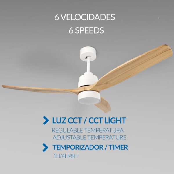 ventilador de techo Crazy