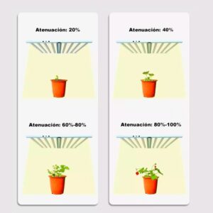 Infografía explicativa del porcentaje de atenuación de la luz según la fase de desarrollo de la planta (20%, 40%, 60-80% y 80-100%).