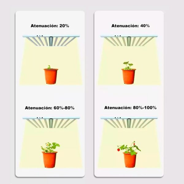 Infografía explicativa del porcentaje de atenuación de la luz según la fase de desarrollo de la planta (20%, 40%, 60-80% y 80-100%).