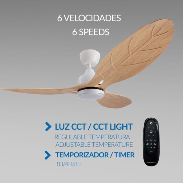 Infografía con las funciones del ventilador White Aras: 6 velocidades, luz CCT regulable en tono y temporizador programable.
